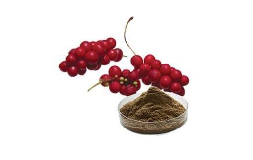 schisandra extract powder