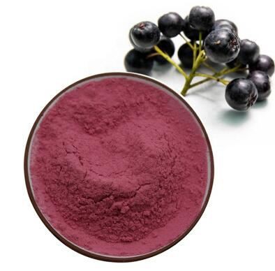 chokeberry powder