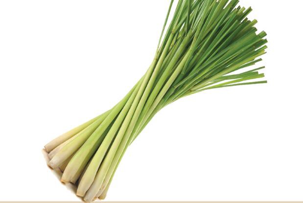 lemongrass powder bulk benefits