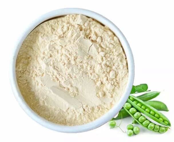 organic pea protein powder bulk organic pea protein powder bulk