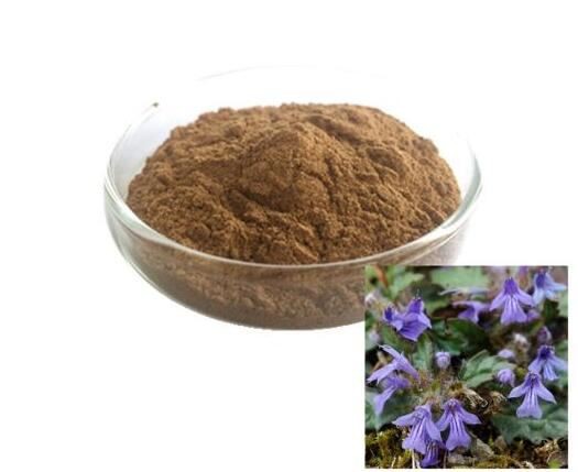 turkesterone for sale