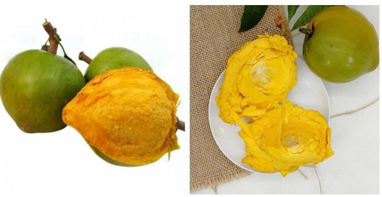 organic lucuma powder.jpg