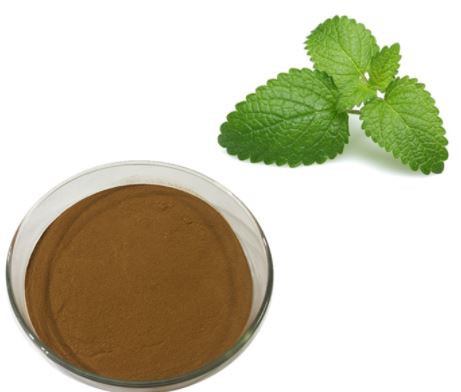 lemon balm extract powder.png
