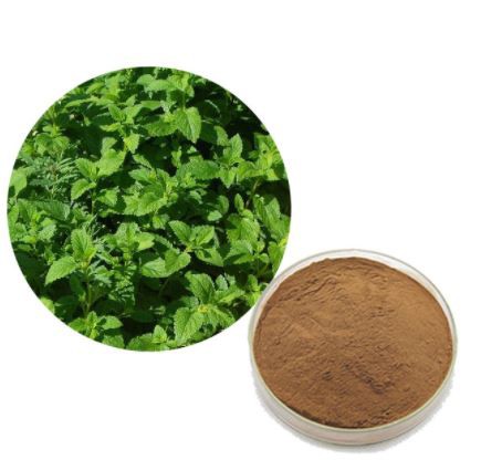 organic lemon balm extract.png