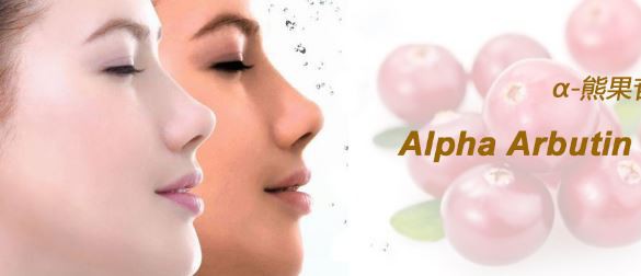 bearberry extract powder APPLICATION