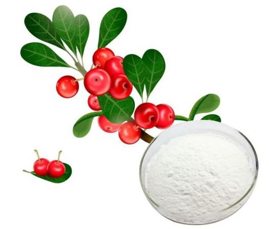best bearberry extract.png best bearberry extract.png