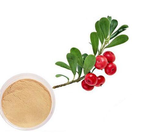 bearberry leaf extract.jpg bearberry leaf extract.jpg