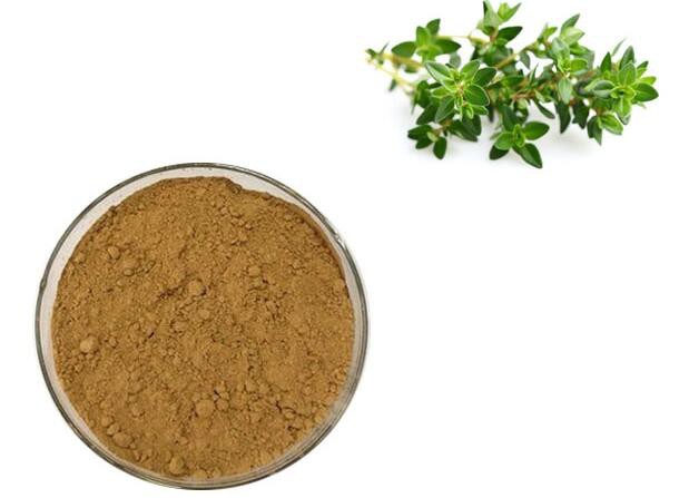 organic thyme fruit powder.jpg