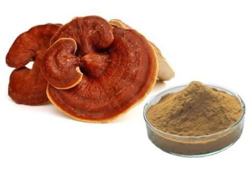 red reishi extract.jpg red reishi extract.jpg