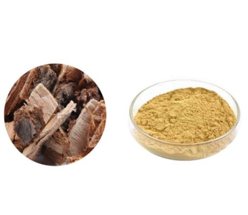 bulk slippery elm bark powder.png