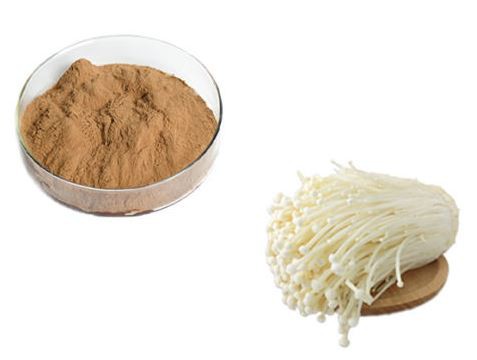 lily mushroom powder.png lily mushroom powder.png