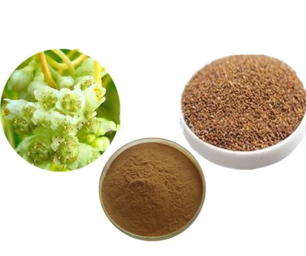 cuscuta seed extract powder.png cuscuta seed extract powder.png