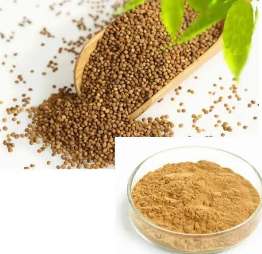 semen cuscutae powder.jpg semen cuscutae powder.jpg