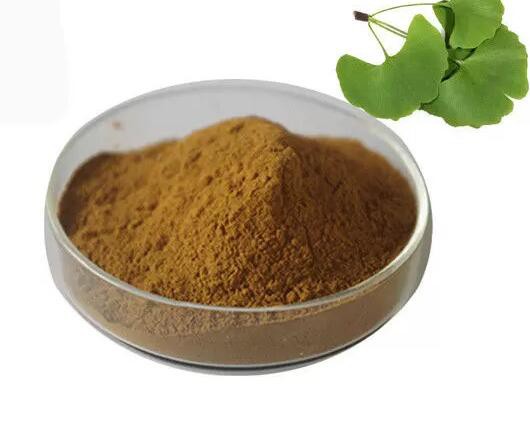 ginkgo biloba powder bulk.jpg ginkgo biloba powder bulk.jpg