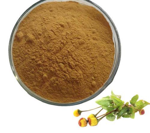 acmella oleracea extract suppliers.png acmella oleracea extract suppliers.png