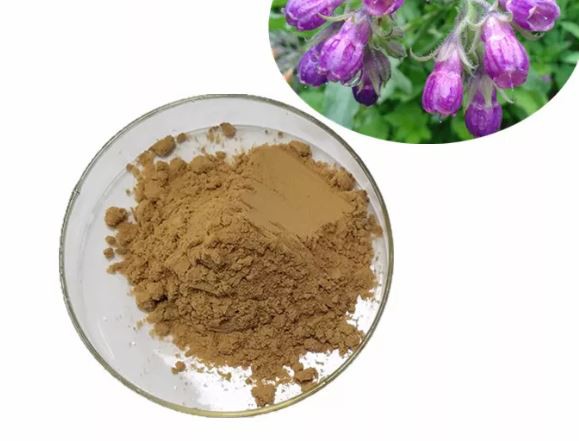 comfrey root extract.png comfrey root extract.png