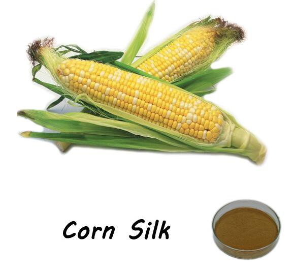buy corn silk powder.jpg buy corn silk powder.jpg