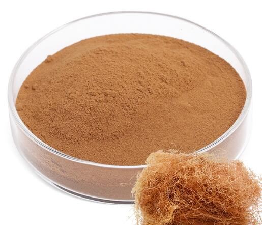 stigmata maydis extract.jpg stigmata maydis extract.jpg