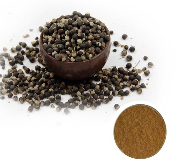 chasteberry fruit extract.jpg chasteberry fruit extract.jpg