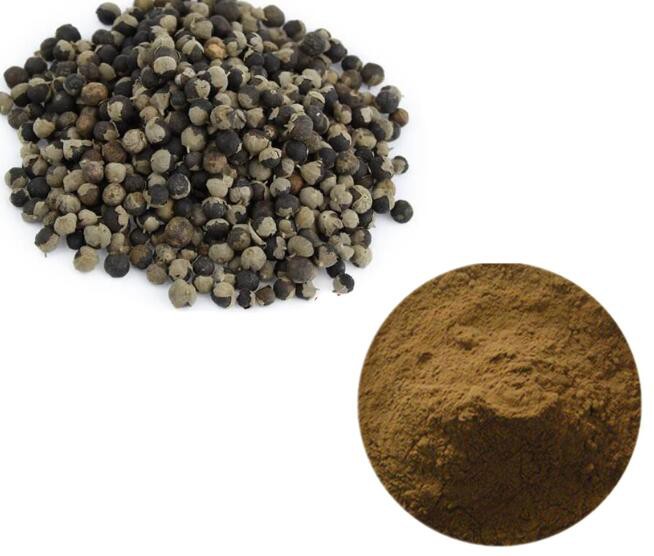chasteberry fruit extract vitex agnus castus.jpg chasteberry fruit extract vitex agnus castus.jpg