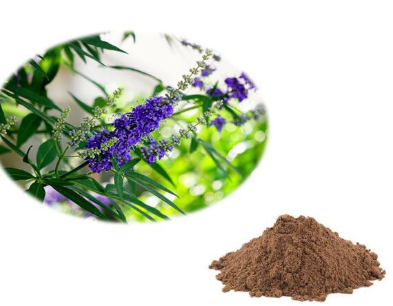 vitex agnus castus fruit extract.jpg vitex agnus castus fruit extract.jpg