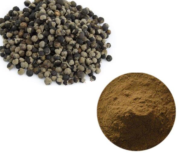 vitex trifolia fruit extract.jpg vitex trifolia fruit extract.jpg