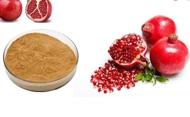 ellagic acid from pomegranate fruit extract