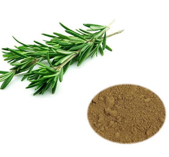 rosmarinic acid powder.jpg rosmarinic acid powder.jpg