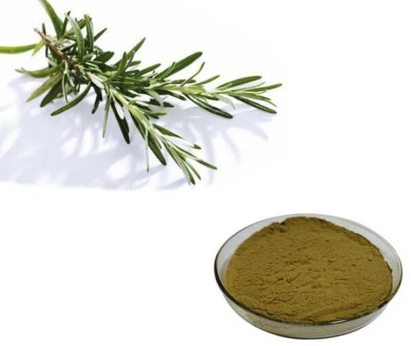 rosmarinic acid buy.jpg rosmarinic acid buy.jpg