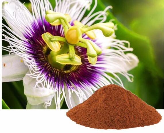 passionflower herb extract.jpg passionflower herb extract.jpg