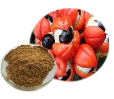 buy guarana extract powder.jpg buy guarana extract powder.jpg