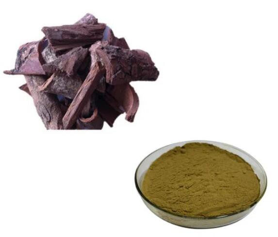 pygeum africanum extract-1