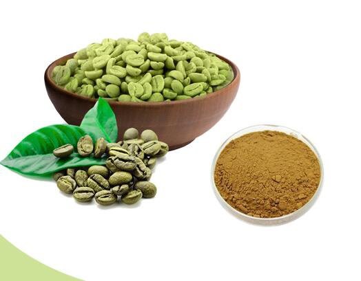 chlorogenic acid extraction