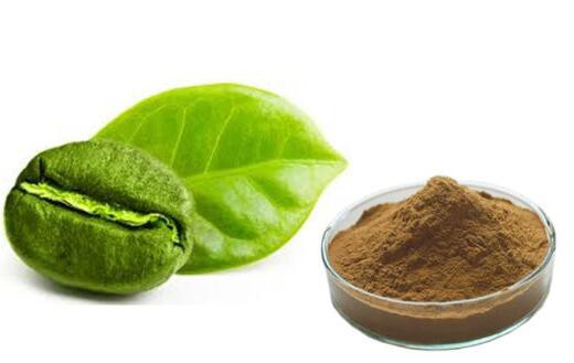 green coffee bean extract 45 chlorogenic acid.jpg green coffee bean extract 45 chlorogenic acid.jpg