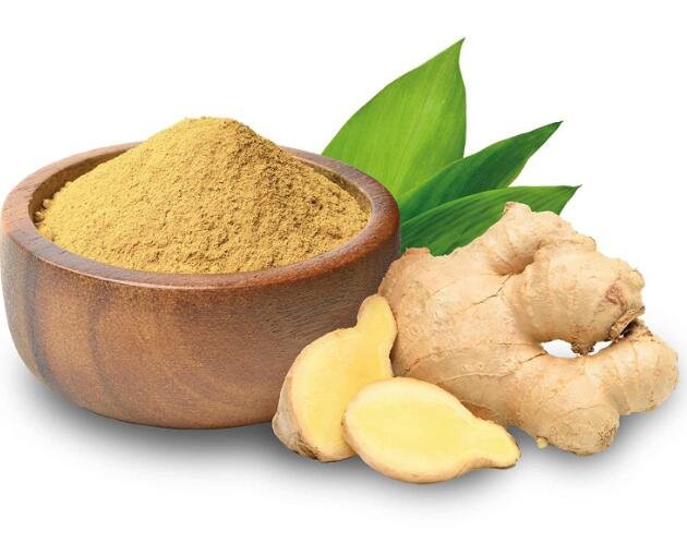 gingerol in ginger