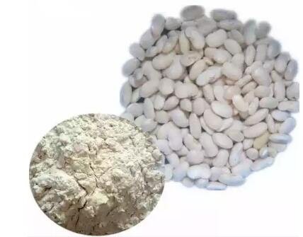 white kidney bean extract phaseolus vulgaris