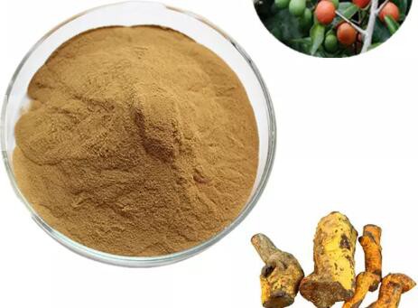 product-463-341 product-463-341