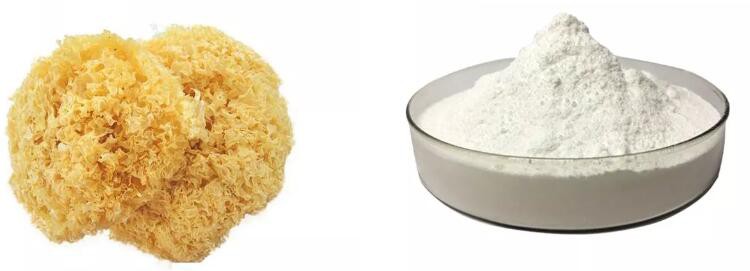 tremella fuciformis polysaccharide for skin