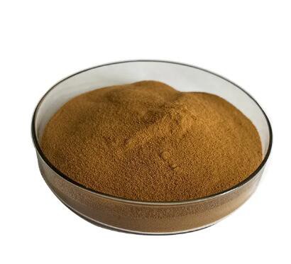 rheum palmatum root extract rheum palmatum root extract