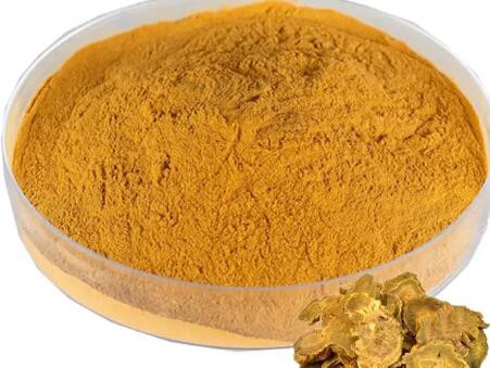 rheum palmatum l extract rheum palmatum l extract