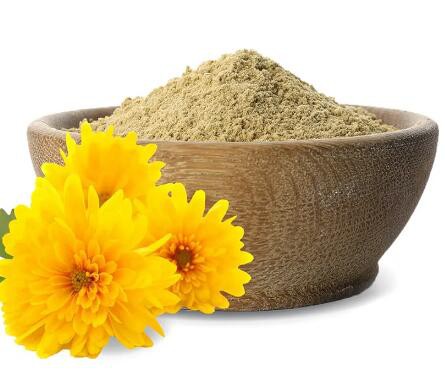 chrysanthemum indicum flower extract