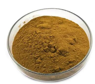 coleus forskohlii root powder coleus forskohlii root powder