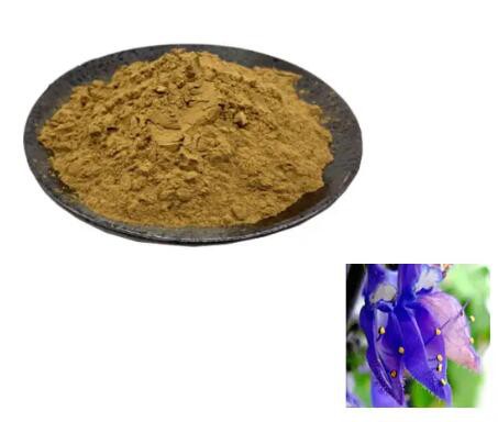 forskolin powder bulk forskolin powder bulk
