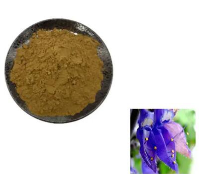 forskolin bulk powder forskolin bulk powder