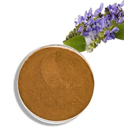 forskolin extract powder