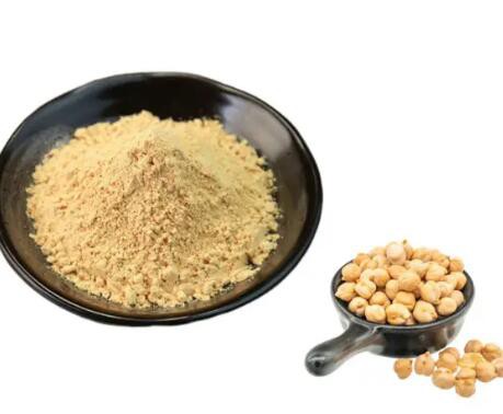 chickpea protein powder manufacturers
