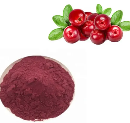 proanthocyanidins cranberry