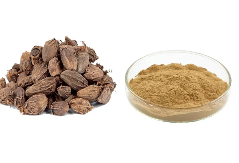 cardamom extract powder